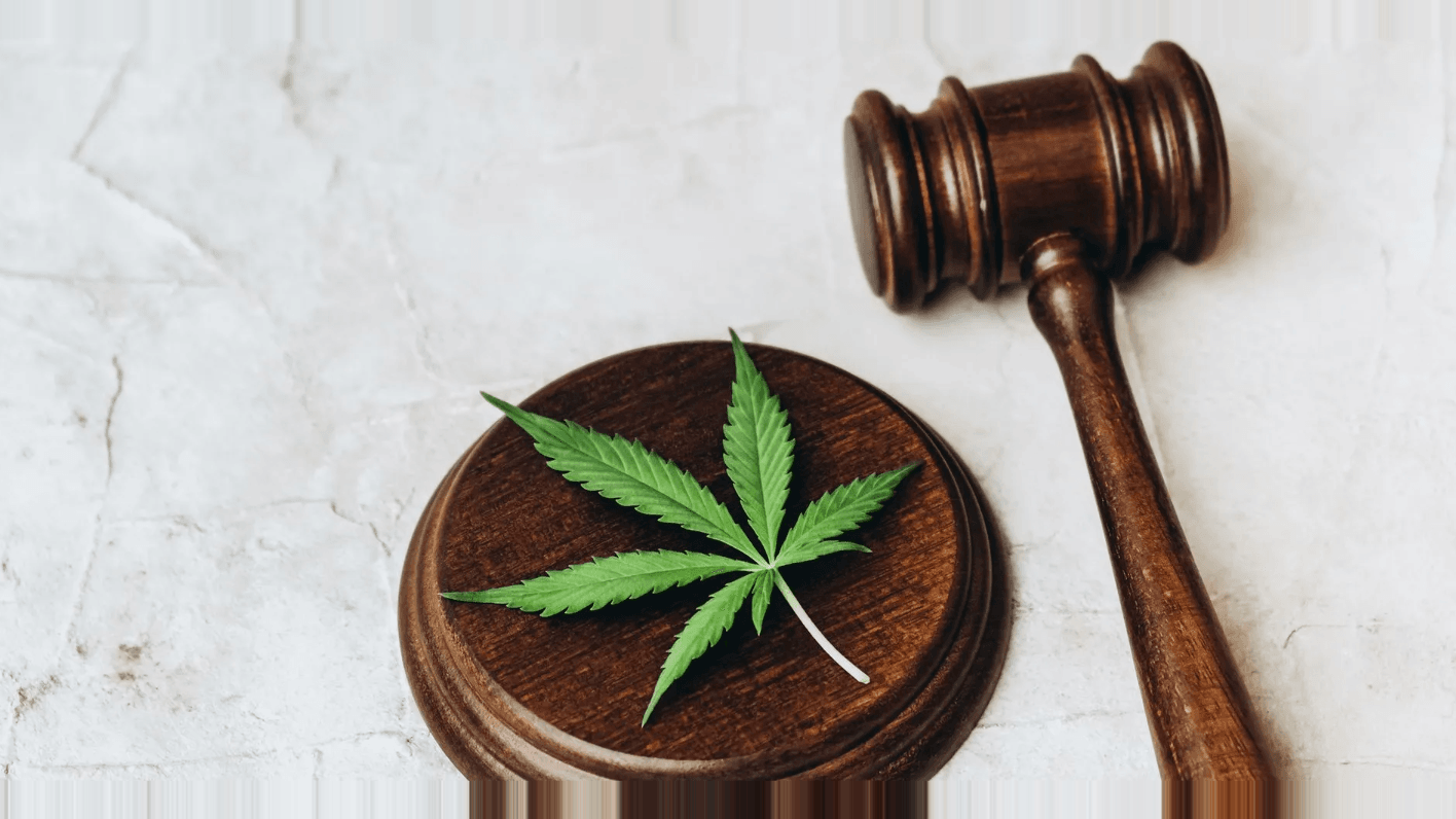 cannabis